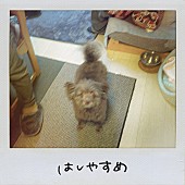 「Saucy Dog EP『はしやすめ』」2枚目/2