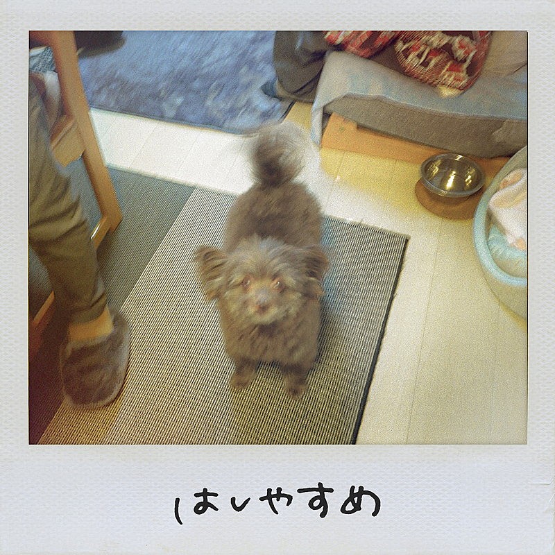 「Saucy Dog EP『はしやすめ』」2枚目/2