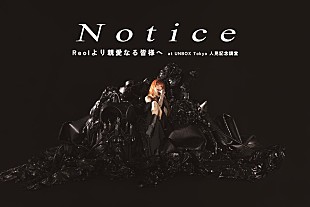 「Reol、現在開催中ツアーの東京公演の一部をニコニコ・YouTubeで生配信決定」