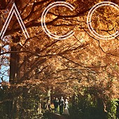 「Awesome City Club、ドラマ『となりのナースエイド』主題歌「ヒカリ」配信決定」1枚目/2