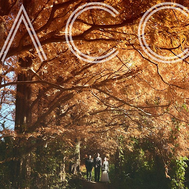 「Awesome City Club、ドラマ『となりのナースエイド』主題歌「ヒカリ」配信決定」1枚目/2