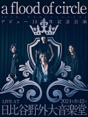 「a flood of circle、EP『CANDLE SONGS』をリリース　8月には野音ワンマンも」1枚目/1