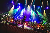 「MUCC、結成25周年グランドファイナルとなった東京国際フォーラム公演の公式レポが到着」1枚目/15