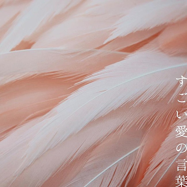 「ズーカラデル、ニューAL収録の新曲「すごい愛の言葉」配信リリース」1枚目/5