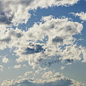 「jizue、ニューSG「Hilarious」配信開始」1枚目/2