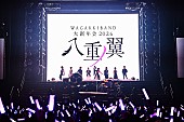 「和楽器バンド、日本武道館で開催された恒例ライブ【大新年会】で全力疾走をファンに約束」1枚目/15