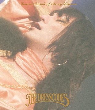 「ドレスコーズ、映像作品『the dresscodes TOUR2023「散花奏奏」』ジャケ写公開」