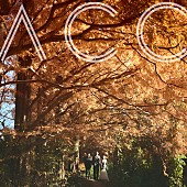 「Awesome City Club、ドラマ『となりのナースエイド』主題歌「ヒカリ」配信リリース」1枚目/2