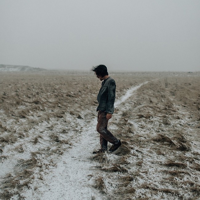 「ダミアン・ライス、来日公演が2024年3～4月に決定」1枚目/1