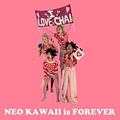 「CHAIが3月でバンド活動終了、今後は個々でセルフラブを表現」1枚目/3