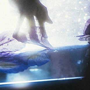 「草刈愛美（サカナクション）×mabanua×YonYonのコラボEP『iris / pray for peace』配信リリース」