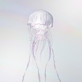 「SCANDAL、ニューAL『LUMINOUS』収録曲＆ジャケ写解禁」1枚目/5