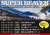 「【SUPER BEAVER「都会のラクダ 野外TOUR 2024 ～ビルシロコ・モリヤマ～」】」2枚目/2
