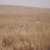 「iri、「JR SKISKI」2023-2024キャンペーンソング「hug」配信決定＆MV公開へ」1枚目/2