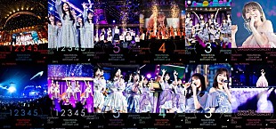 「【乃木坂46 11th YEAR BIRTHDAY LIVE】映像作品のジャケット公開」