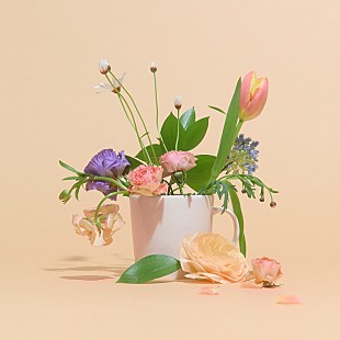 「マルシィ、進研ゼミの高校生応援ソング「エール」配信決定＆TikTokで一部音源が先行配信」