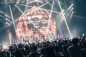 「Appare!日本武道館ワンマンライブが決定、Zeppツアー千秋楽で涙の報告」1枚目/3