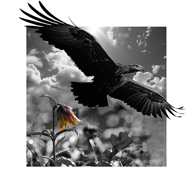 「SUGIZO、能登半島地震復興チャリティーアイテムを自身プロデュースブランド「THE ONENESS」より発表」1枚目/12