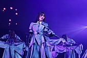 「＜ライブレポート＞櫻坂46、2023年のラストライブとなった【COUNTDOWN JAPAN 23/24 supported by au 】」1枚目/11