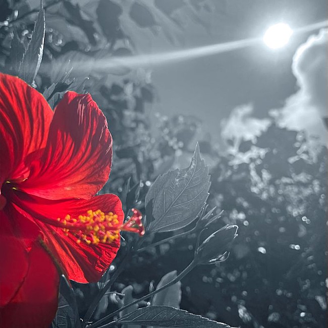 「HY、琉球歴史ドラマ『阿麻和利』主題歌「君と未来を」配信リリースへ」1枚目/2