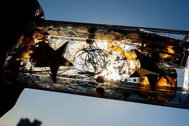 「LiSAの作品」2枚目/3