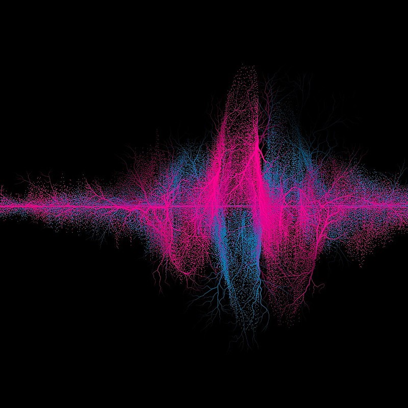 「SUPER BEAVER アルバム『音楽』ファンクラブ盤」3枚目/5