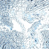 「Tempalay、5枚目のフルAL『((ika))』ジャケットアートワーク公開」1枚目/1