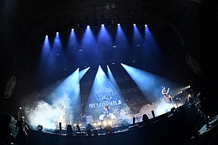 「NEMOPHILA、初の武道館公演で5周年を祝福」