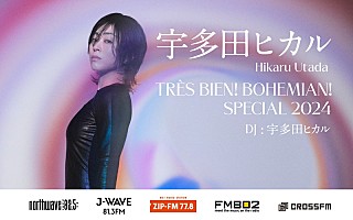 宇多田ヒカル
アナログ　レコード x200_image.jpg