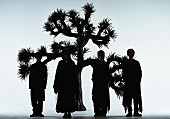 「Plastic Tree、4年ぶりニューALリリース決定」1枚目/2