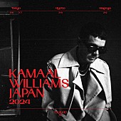 「カマール・ウィリアムス、3rdアルバム『Stings』と共にジャパンツアーを開催」1枚目/5