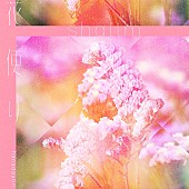 「shallm、3/10にシングル「花便り」配信リリース決定」1枚目/2