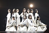 「乃木坂46、12回目の”バスラ”で全124曲を披露　伝統と試練が与えた乃木坂の武器」1枚目/14