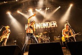 「＜ライブレポート＞ザ・クロマニヨンズ、“生”で加速する熱気と高揚感で満たした【HEY! WONDER 2024】東京公演」1枚目/7