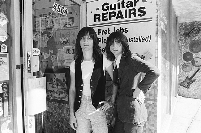 「ザ・レモン・ツイッグス、ニューALからタイトル曲「A Dream Is All I Know」のMV公開」1枚目/2