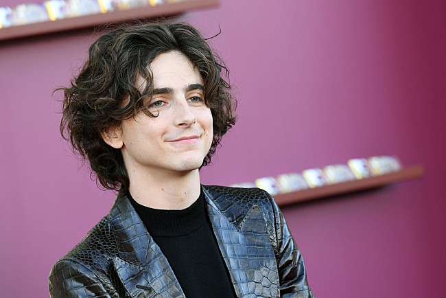 「ティモシー・シャラメ、ボブ・ディラン伝記映画を米NYで撮影する姿が目撃」1枚目/1