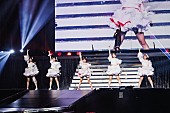 「＜ライブレポート＞#ババババンビ、 デビューから追い続けた夢の日本武道館へ」1枚目/12