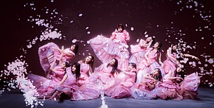 「櫻坂46、8thシングル【BACKS LIVE!!】開催決定」