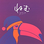 「2020年結成の4ピースバンド・カラノア、『奇跡体験！アンビリバボー』EDテーマ「ねむ」配信リリース決定」1枚目/2