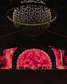 「Photo: Rachael Polack / Courtesy of Coachella」11枚目/14