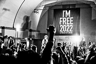 「a flood of circle、「Honey Moon Song」代々木野音ライブ映像公開」