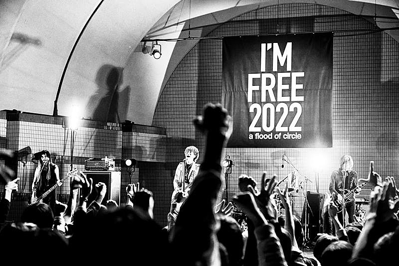 「a flood of circle、「Honey Moon Song」代々木野音ライブ映像公開」1枚目/1