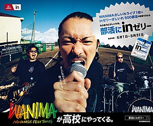 「抽選で【WANIMAのライブ】を“さしいれ”、全国の高校生を応援する「inゼリー」キャンペーン」