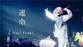「Tani Yuuki、EP『HOMETOWN』初回盤より「運命」ライブ映像公開」1枚目/4