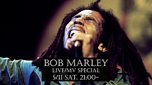 「映画『ボブ・マーリー：ONE LOVE』公開記念MV/ライブスペシャルがYouTubeで配信」