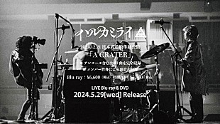「ハルカミライ、日本武道館ライブ映像作品『A CRATER』ダイジェスト公開」