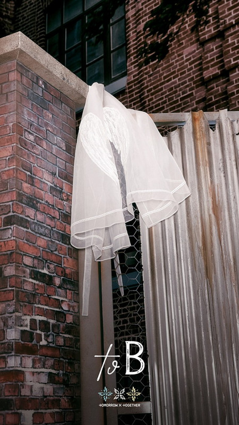 「インサートカット」3枚目/13