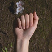 「アルバム『O』」2枚目/3