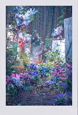 「Mrs. GREEN APPLE、新曲「Dear」MVティザーフォト第1弾は“神秘的な森”」