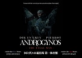 「DIR EN GREY＆PIERROTのジョイントライブ【ANDROGYNOS】、代々木競技場第一体育館にて“再来”」1枚目/3